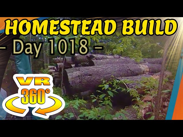 Homestead Build - Using a Norwood Lumber Mill, Chicken Coop Lumber Creation