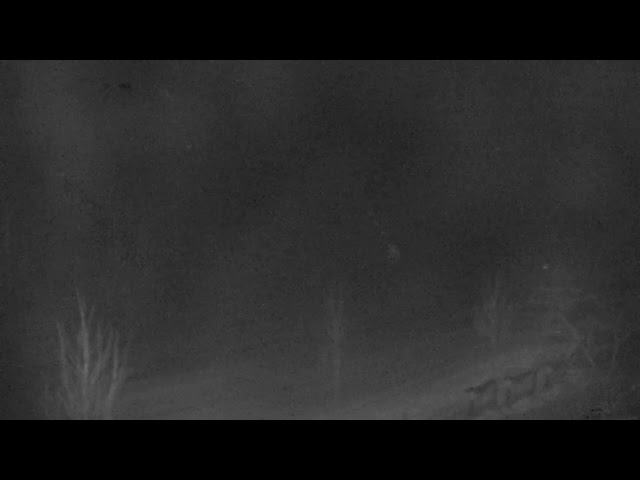 Village Base @ Blue Mountain Resort