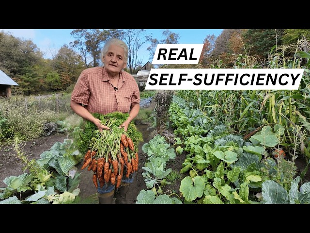 AMAZING 70-Year-Old Farmer Uses NO Modern Equipment