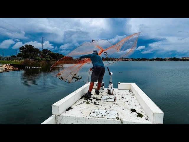 Went to Cast Net Tilapia... Caught THIS Instead!