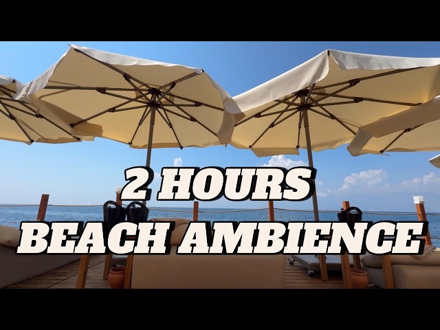 2 HOURS Relaxing Beach Ambience 🌊 | Ocean Waves, Seagulls & Summer Sounds
