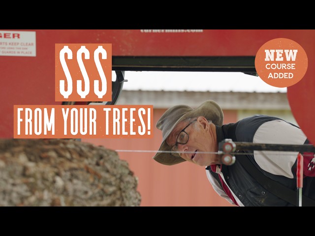 Learn to Manage Your Woodlot with Joel Salatin | Masterclass (Promo)