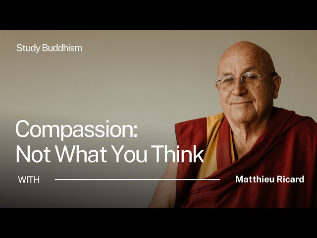 Why We Get Compassion All Wrong | Matthieu Ricard