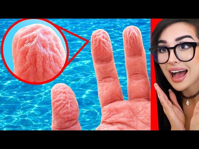 Cool Things I Learned On The Internet