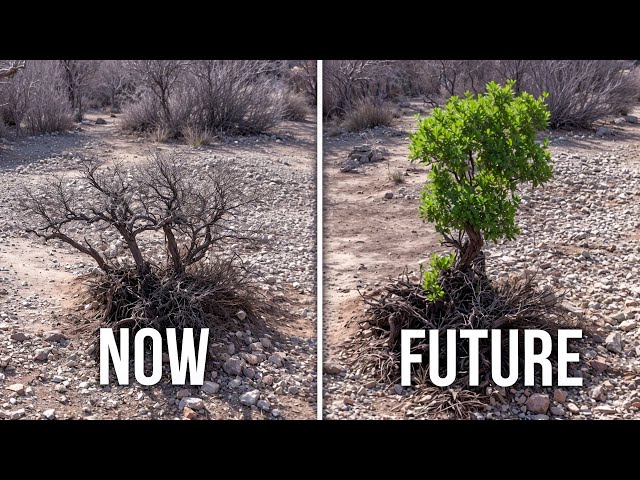 I'm Trying to Grow a Forest Without Planting a Tree (Inspired by ⁨@planet-wild)