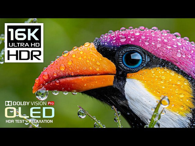 Ultra Massive Details OLED HDR TEST | 16K HDR Nature Video | Dolby Vision 120FPS (8K/4K Video TV)