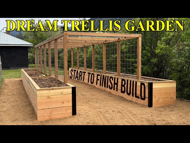 I Built My Dream Trellis Garden…And You Can Too. 