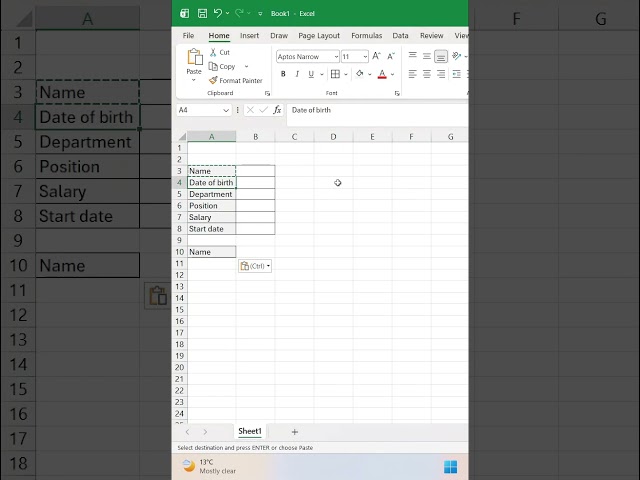 Past cleanly and pro in MS Excel (Hausa) #learnwithnura #nuramustaphaali