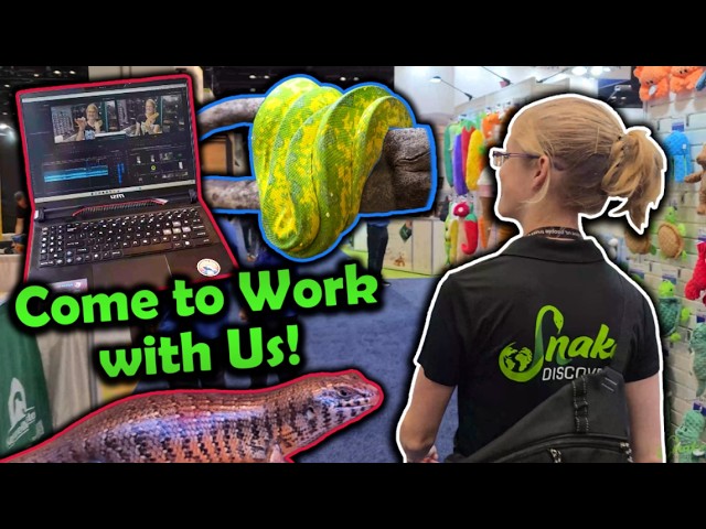 From Pet Expo to Snake Breeding in 24 Hours