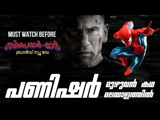 Punisher Full Backstory Explained in Malayalam | Must Watch before Spider-Man : Brand New Day 🕷️