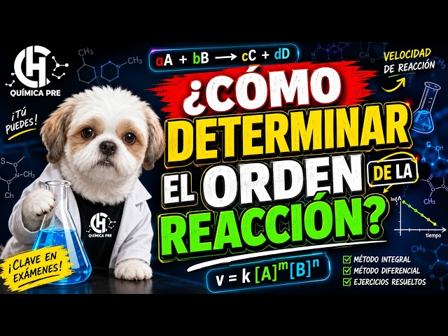 🔥 HOW TO DETERMINE THE ORDER OF A REACTION? 🧪 | CHEMICAL KINETICS + ADMISSION-STYLE EXERCISE
