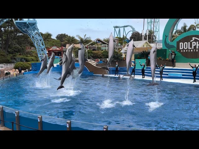 Dolphins Adventures (Full Show) at SeaWorld San Diego on June 17, 2023