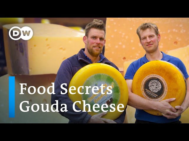 How world-famous Gouda cheese is made in the Netherlands  | Food Secrets Ep. 14