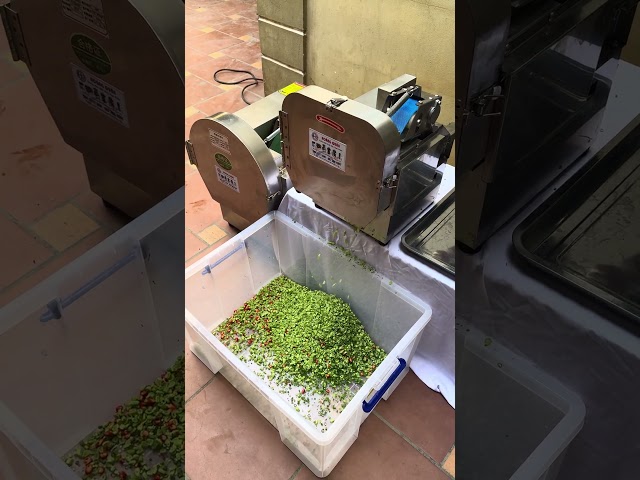 String Bean Slicing Machine, String Bean Cutting Machine - Conveyor Belt Slicing Machine JQ18