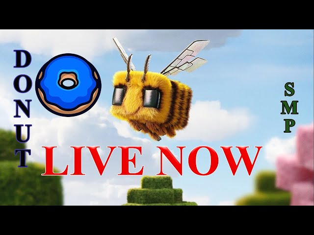 🔴Donut Smp Live┃Rating Bases┃20M Bounty┃5M Per Base!┃rukmehtab
