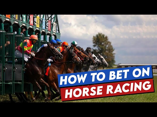 How to bet on Horse Racing: the beginner's guide to horse betting with examples