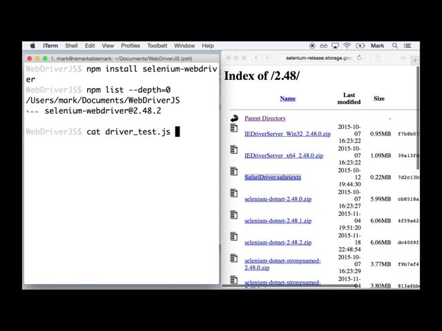 Setting Up SafariDriver — Selenium WebDriver