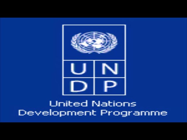 Understanding UNDP A Comprehensive Guide to the United Nations Development Programme