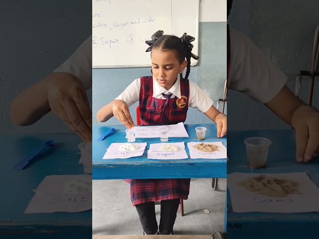 GRADE 6 SCIENCE ACTIVITY SEPARATION OF SUBSTANCES #rockwoods#education
