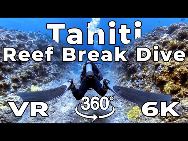 Tahiti in VR - Reef Break Dive in Raiatea ~ Virtual Reality 5.7k 360º