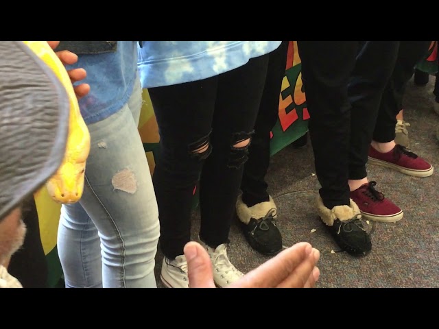 Snake vid