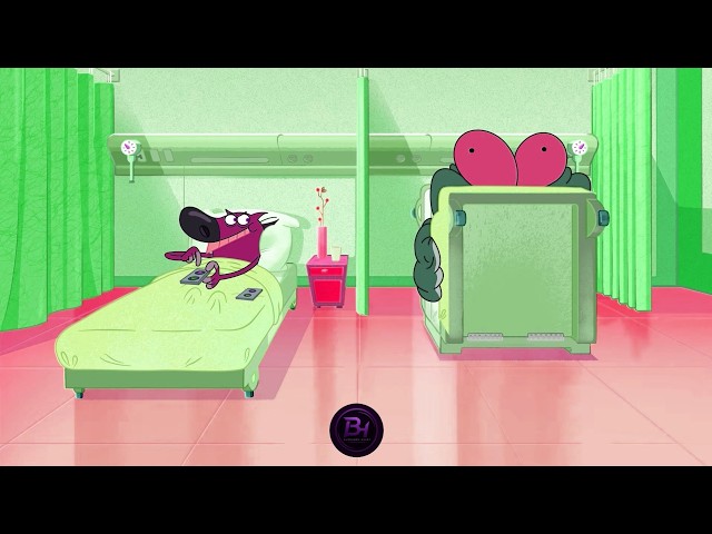 ARE THEY OKAY?! Sharko & Zig Hospital Bed Chaos! (Sponsored by Gamavision Csupo Effects)