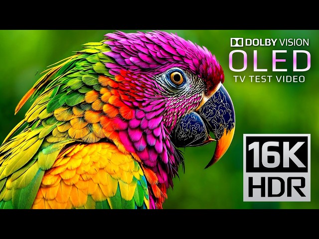 ONLY OLED TEST | 16K VIDEO ULTRA HD | Dolby Vision 16K HDR