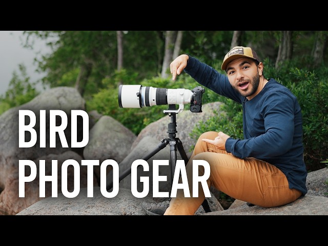 Essential Bird Photography Gear Guide