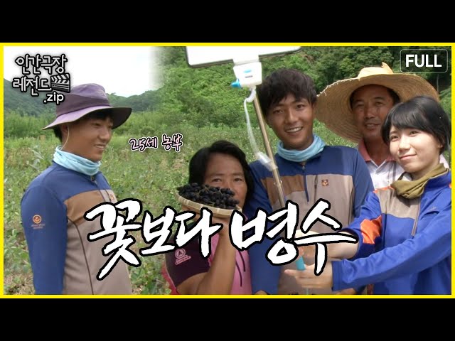 [청년농부🧑‍🌾1탄] 25살 젊은 농부의 농사 일지 🌾 '꽃보다 병수' 몰아보기 | 인간극장 레전드.zip [KBS 방송]