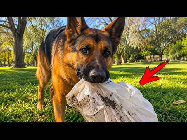 The dog wouldn’t let go of the bag. The police opened it—and froze!