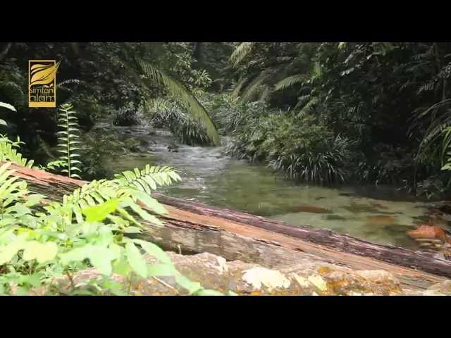 SIMFONI ALAM EP : HUTAN SIMPAN AYER HITAM FULL HD