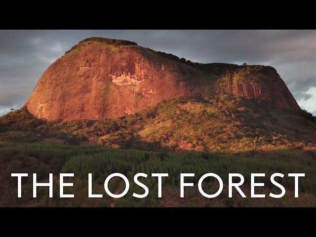 The Lost Forest | Nobel Peace Prize documentary