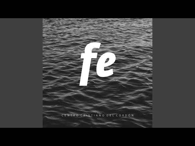 Fe