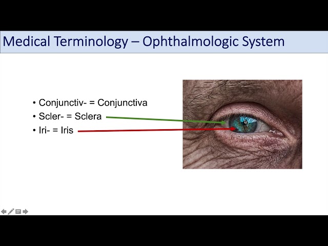 Medical Terminology | Lesson 9 | Eyes and Eye Conditions (Ophthalmology)