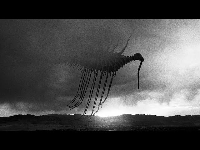 quiet apocalypse