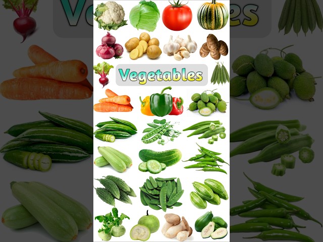 Common Vegetables Name #allvegetables #vegetablenames #vegetablesenglish #vegetables #vegetablelist