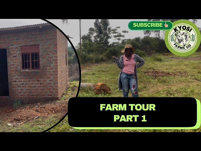 FARM TOUR! | House Progress + Goat 🐐 Structure + Progress & Landscape Clearing |⛏️