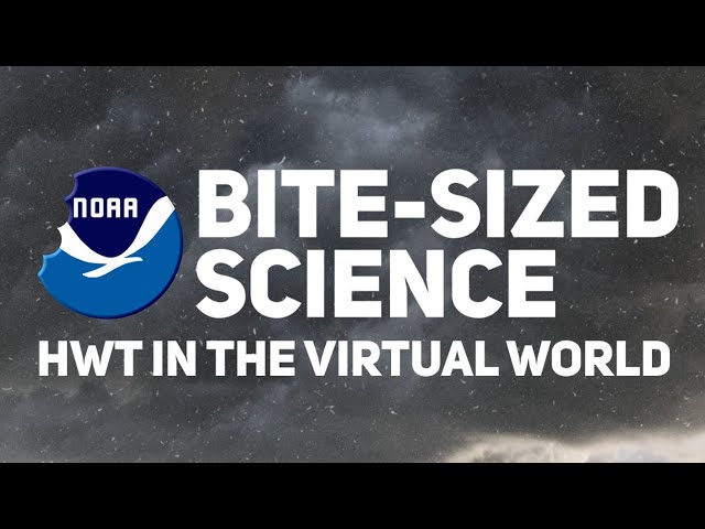 Bite-Sized Science: HWT in the Virtual World