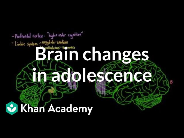 Brain changes during adolescence | Behavior | MCAT | Khan Academy