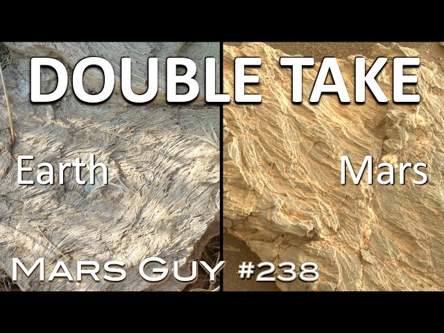 Mars rock looks like fossilized hot spring organisms