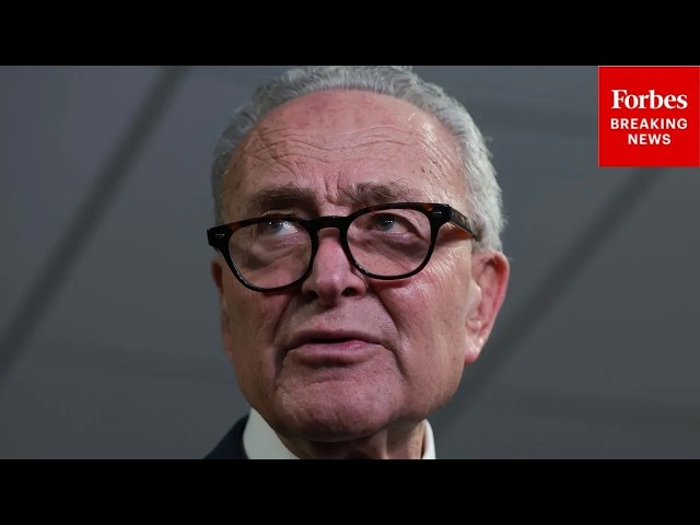 WATCH: Schumer Dodges When Asked About About The DSA Calling To Abolish Senate
