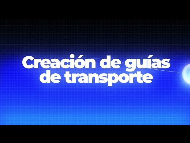 CREATION OF TRANSPORT GUIDES - EFFI ERP