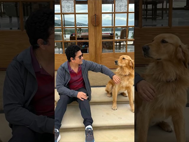 Tail wags and happy chaos with my four-legged teammates!#InternationalDogDay #HappyDogDay