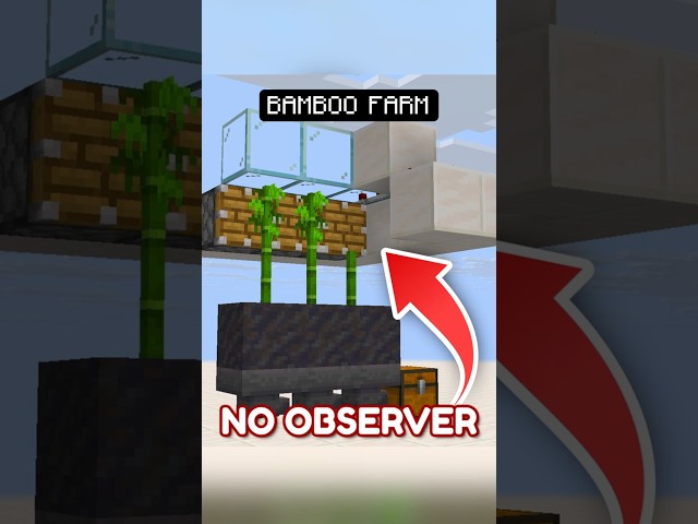 Easy NO OBSERVERS Bamboo Farm