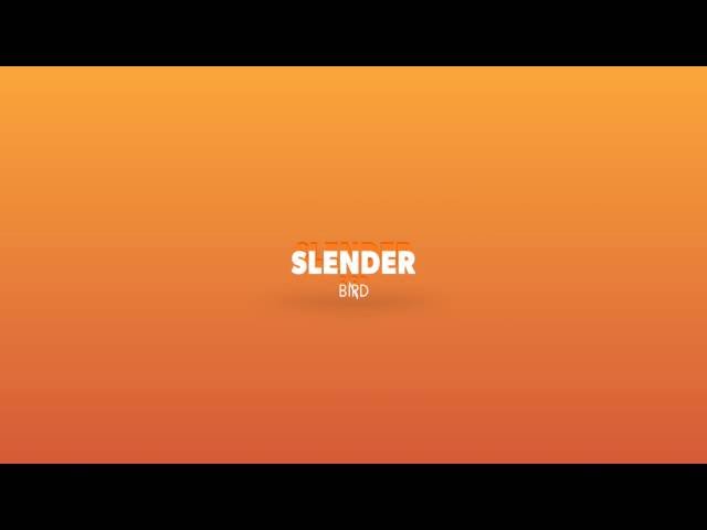 360 Intro | Slenderbird