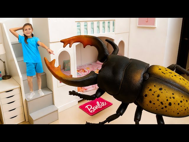 Kids Catch Insects at Home and Other Helpful Stories for Children