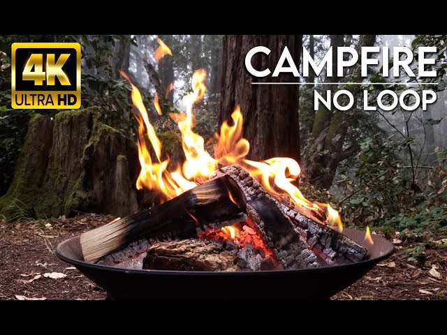 🔥 Relaxing Fireplace. Campfire in the Forest. No Loop, Real Sounds for sleep or study. ASMR [4K UHD]