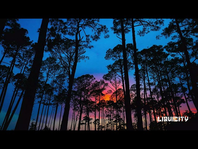 Natus & Fearbace - Forest Edge