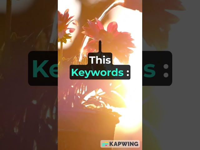 Memory Allocation of Object in Java