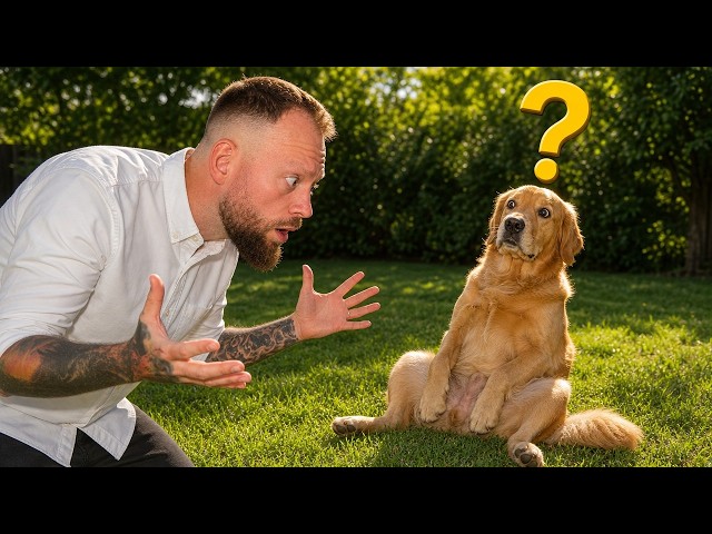 4 Weird Dog Behaviours Explained